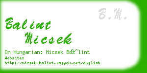 balint micsek business card